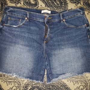 Like New!! LOFT shorts